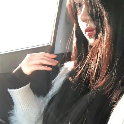 南港进出口贸易一日